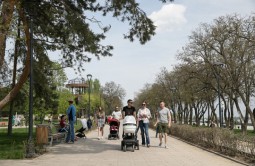 Волгоградские семьи оформляют региональные пособия